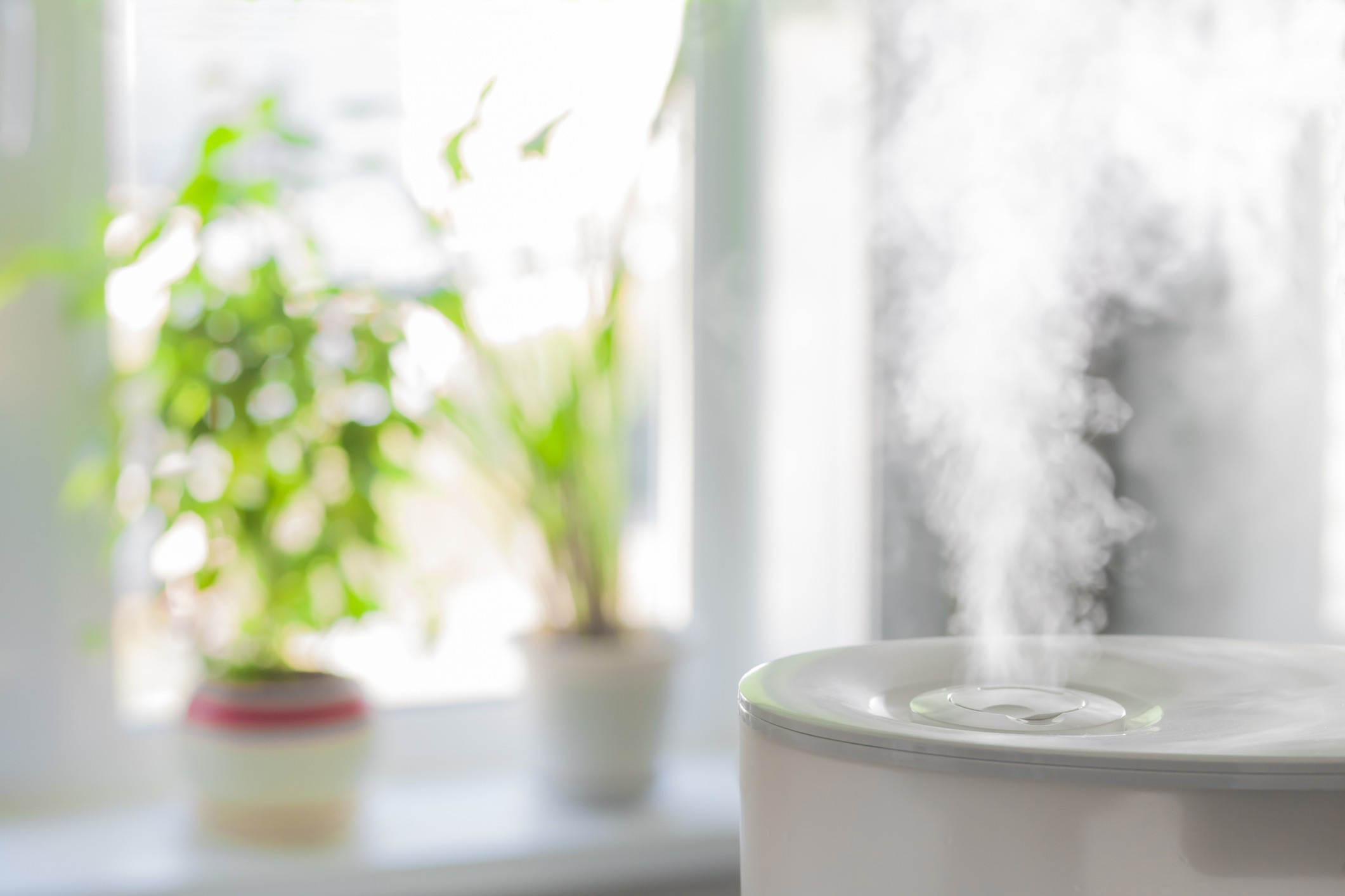 How a Humidifier Creates Healthier Indoor Air